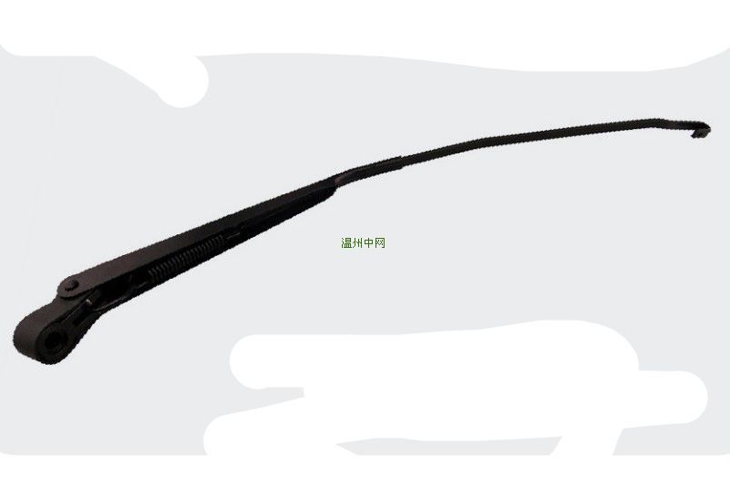 ����˹ ��α�