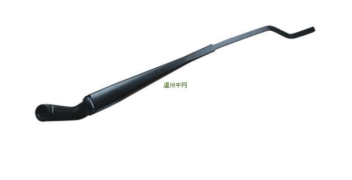  2172 Kalina R α